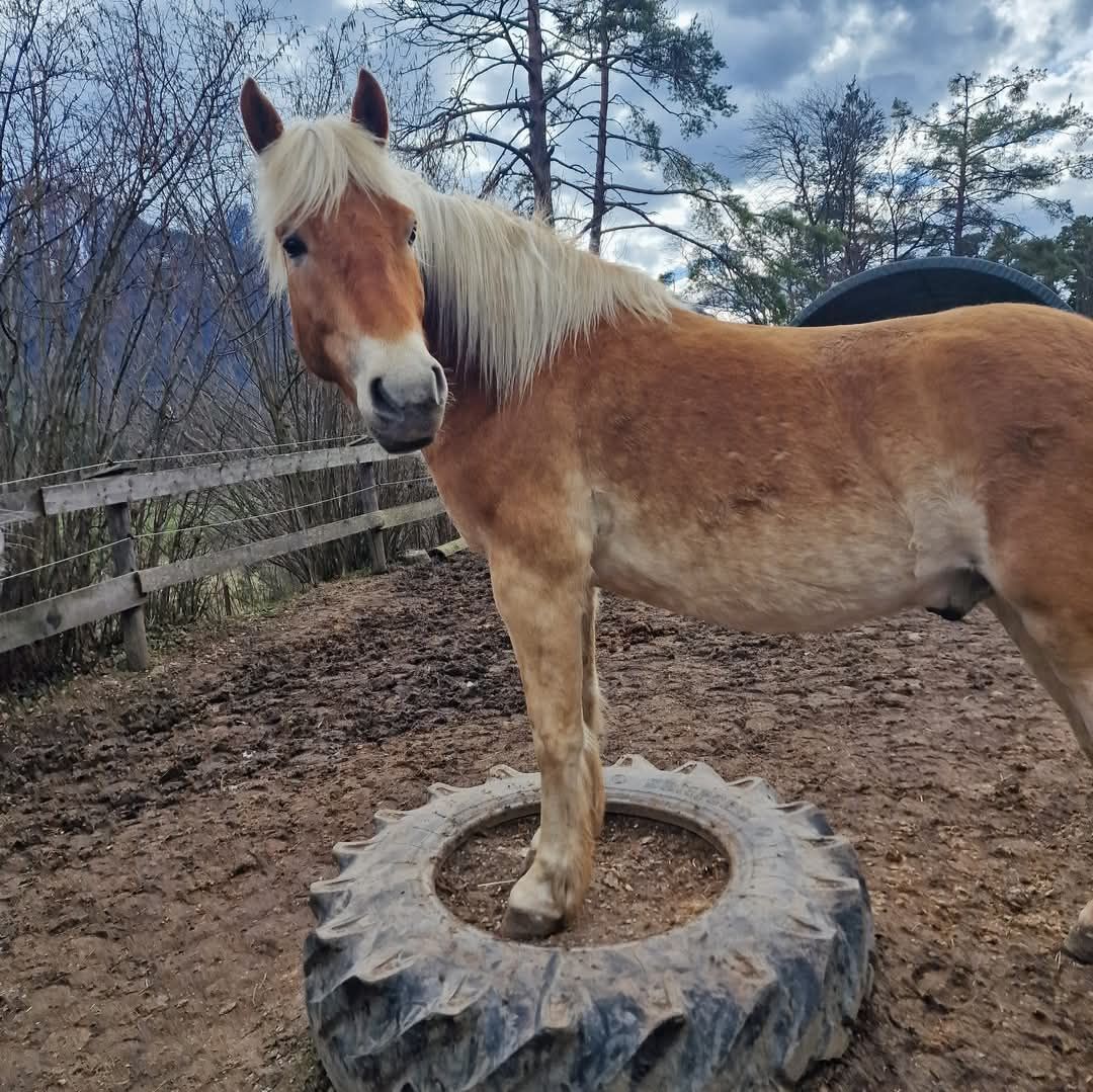 Winnetou