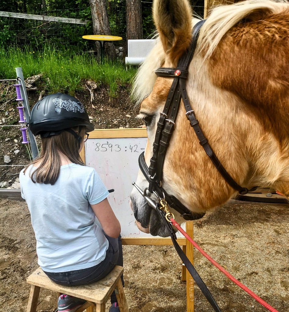 Pferdegestütztes Lerntraining – Kind lernt mit Pferd