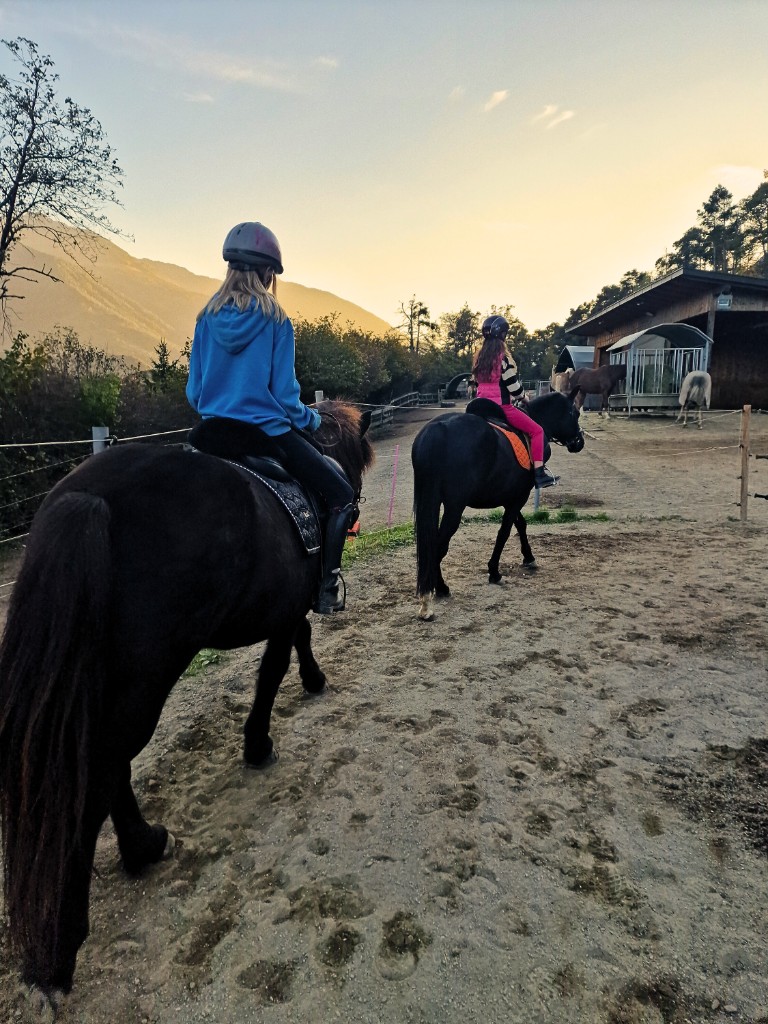 Reiten lernen – Kinder auf Ponys